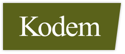 Kodem A vision beyond the ordinary